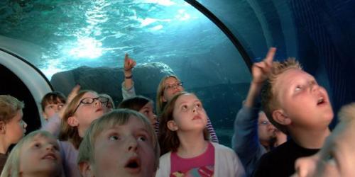 Лучшие музеи Москвы топ 4 самых - самых. 02