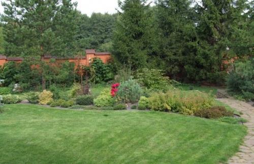 6 идей как визуально увеличить маленький садовый участок. 01