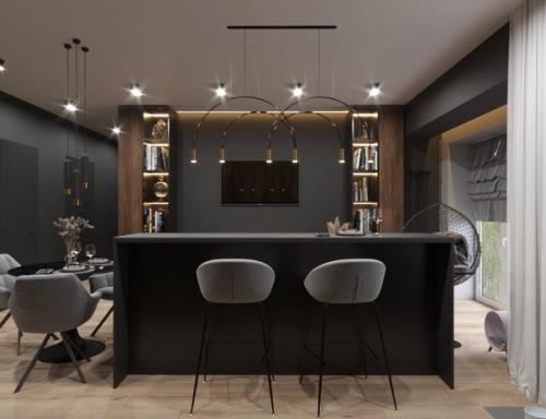 Кухня - гостиная для молодого человека. 03