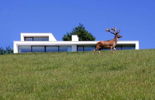 Минималистский дом HR в Бельгии от архитекторов Samh.