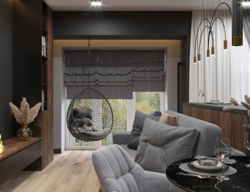 Кухня - гостиная для молодого человека. 02