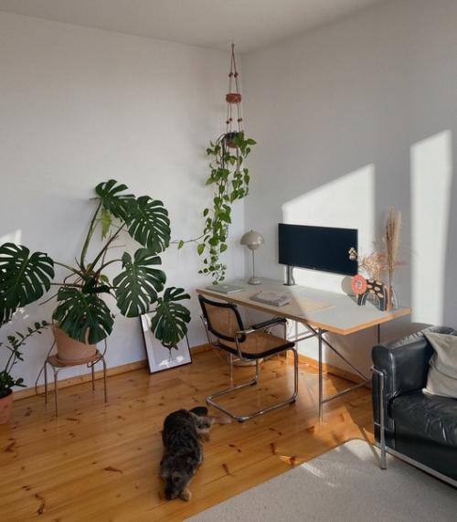 Красивый уютный дом, демонстрирующий правильное использование дерева и светлых и успокаивающих цветов в дизайне. 05