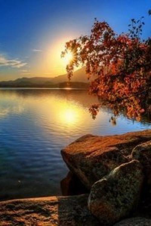 Осень бывает настолько красивой, что воспоминание о ней сглаживает суровость зимы. 02