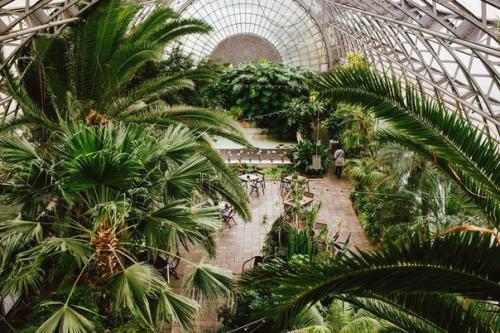 10 самых зелёных кафе Петербурга. 06