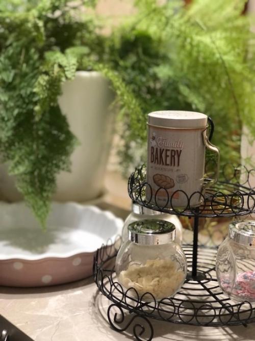 Цветы служат для украшения и Оживления помещения - бесспорный факт. 08