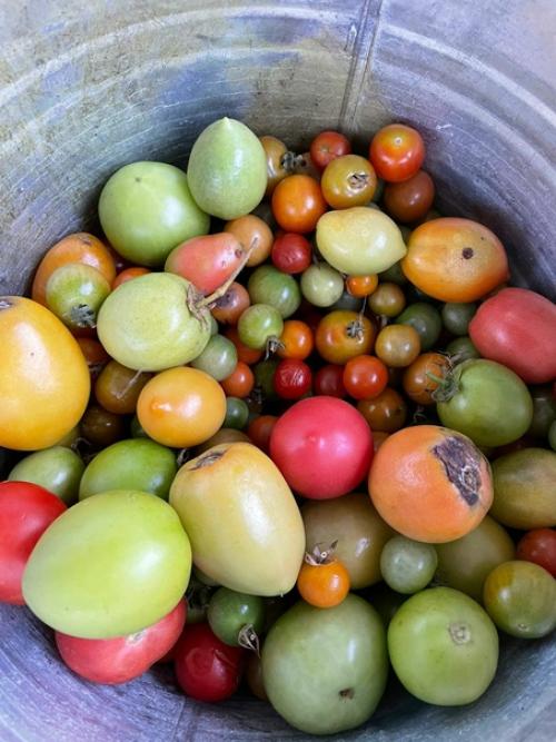 Когда ожидание/реальность разительно отличаются в приятную сторону. 04 Когда ожидание/реальность разительно отличаются в приятную сторону. 04