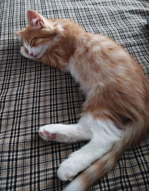 Пермь. Начинающий дизайнер василий ищет дом. 02 Пермь. Начинающий дизайнер василий ищет дом. 02