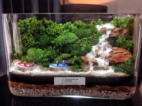 Флорариум - это один из трендов в сфере дизайна интерьера и, безусловно, его можно приобрести в магазине. 05