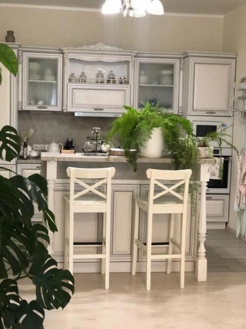 Цветы служат для украшения и Оживления помещения - бесспорный факт. 04