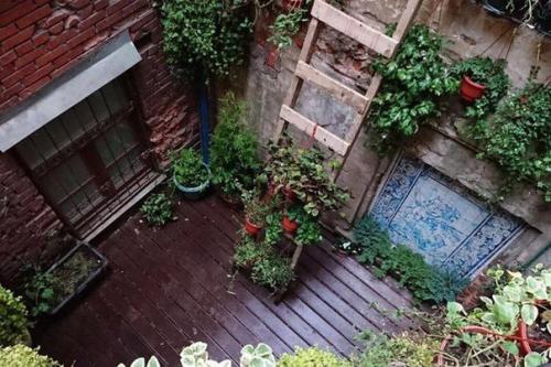 10 самых зелёных кафе Петербурга. 03