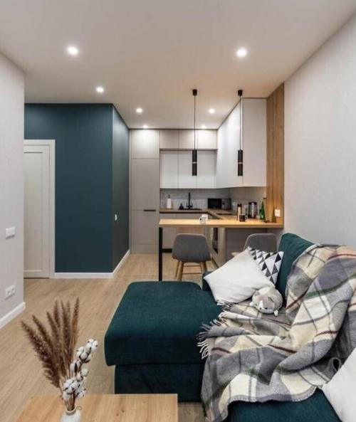 Уютная кухня. Объединенная с гостиной. 02