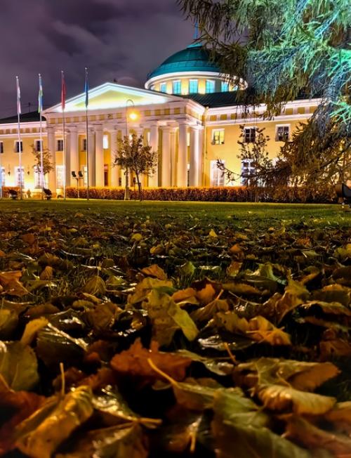 Таврический дворец (со стороны шпалерной ул. . резиденция князя Григория Потёмкина - таврического. 01