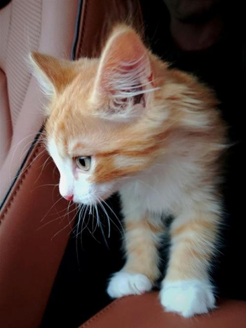 Пермь. Начинающий дизайнер василий ищет дом. 03 Пермь. Начинающий дизайнер василий ищет дом. 03