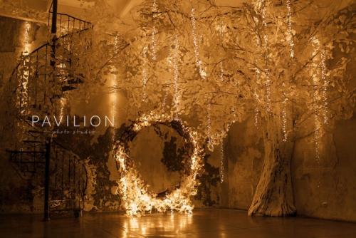 Топ 10 залов для новогодней фотосессии в Санкт-петербурге. 04 Топ 10 залов для новогодней фотосессии в Санкт-петербурге. 04