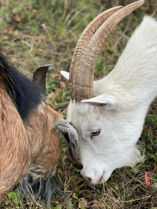Когда ожидание/реальность разительно отличаются в приятную сторону. 08 Когда ожидание/реальность разительно отличаются в приятную сторону. 08