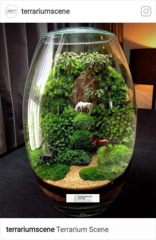Флорариум - это один из трендов в сфере дизайна интерьера и, безусловно, его можно приобрести в магазине. 04