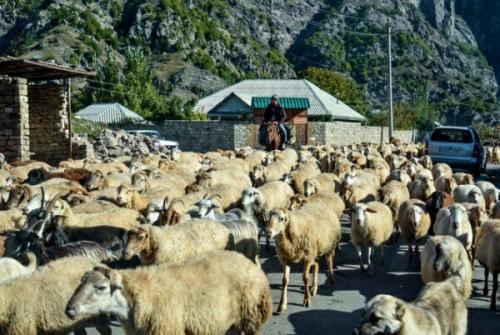 Известный российский сайт Lenta. 03