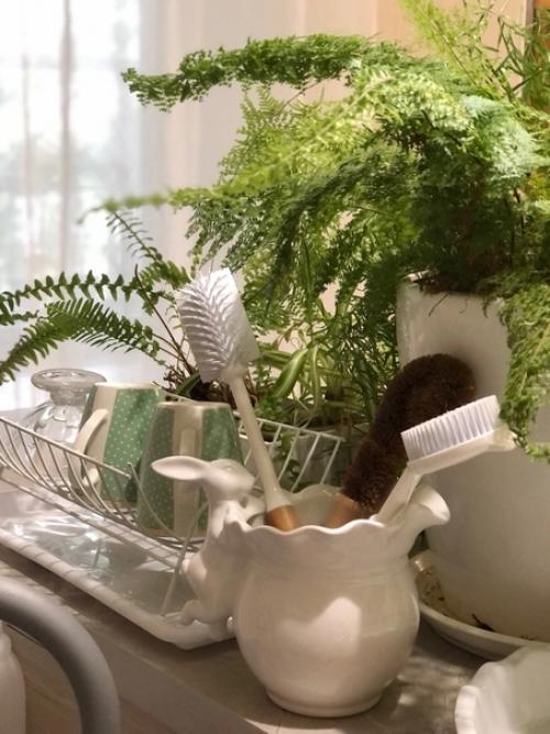 Цветы служат для украшения и Оживления помещения - бесспорный факт. 02