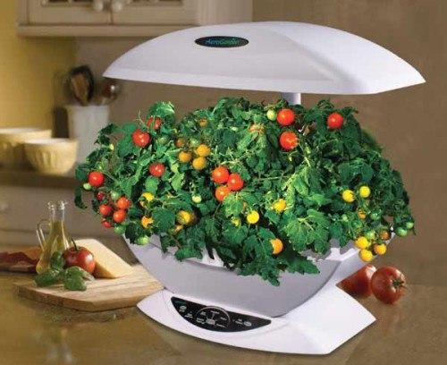 Гидропоника в домашних условиях. 03 Гидропоника в домашних условиях. 03