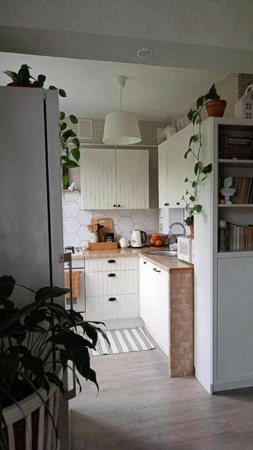 Газовая колонка на кухне - дракон, которого можно приручить. 01 Газовая колонка на кухне - дракон, которого можно приручить. 01