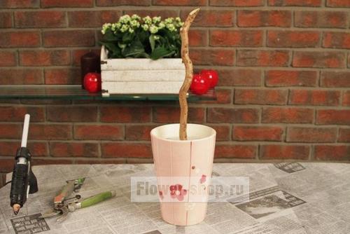 Кофейный топиарий в форме сердца? 03