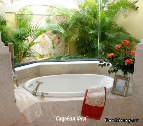 Комнатные цветы - для ванной. 01