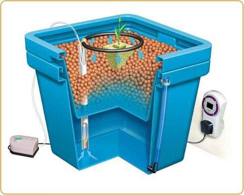 Гидропоника в домашних условиях. 04 Гидропоника в домашних условиях. 04