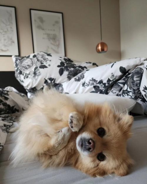 Доброго времени суток! 04