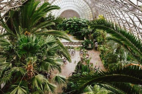 10 самых зелёных кафе Петербурга. 01 10 самых зелёных кафе Петербурга. 01