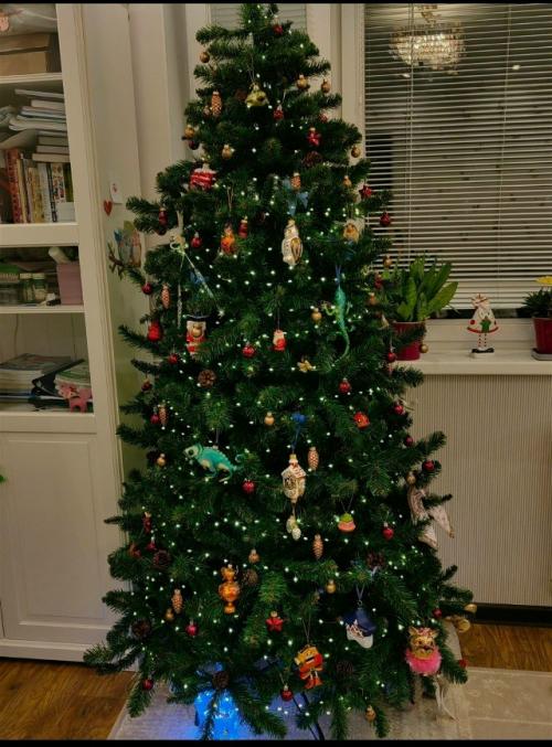 Скоро наступит новый год, и дома уже начинает ощущаться праздничная атмосфера.