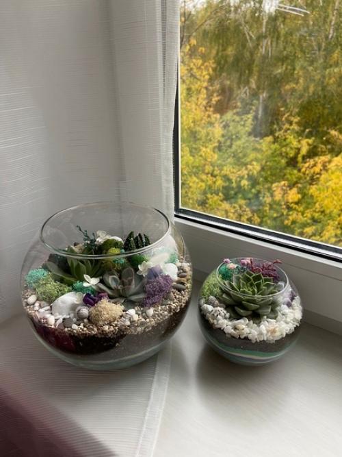 Флорариумы по заказу соберем. 08