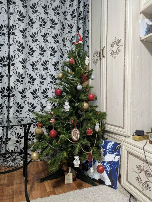 Две недели до нового года пролетают незаметно, но именно в этот период появляется ощущение настоящего праздника.