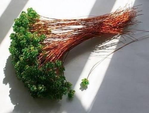 Бонсай из бисера? 01