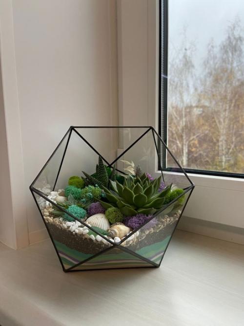 Флорариумы по заказу соберем. 05