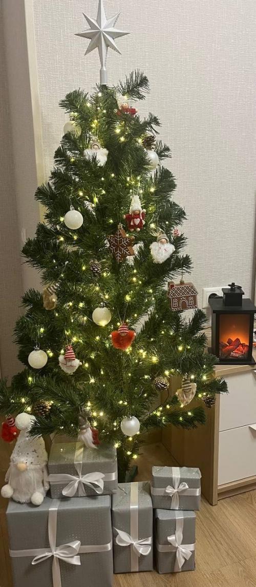 Приближение нового года ощущается в каждом доме: окна украшают снежные узоры, улицы города сияют гирляндами, а в воздухе витает аромат мандаринов.  