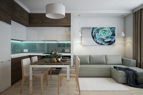 Дизайн - проект однокомнатной квартиры площадью 49 кв. 01