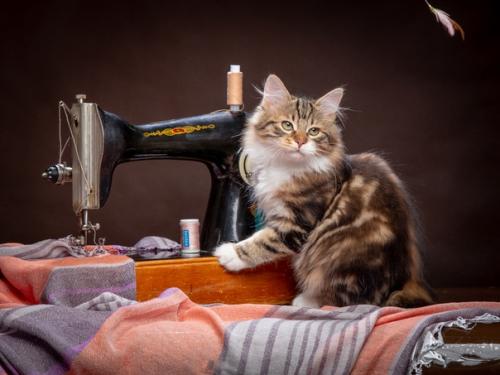 Швейную машину продам! 08