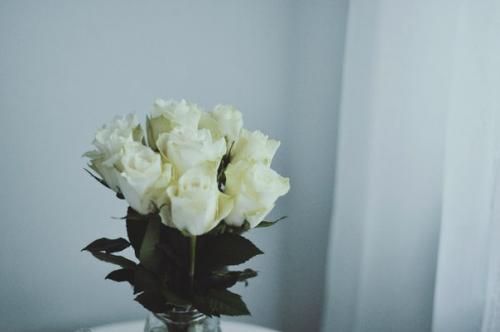 Этим утром. Потёртый шик прекрасен, но я хочу чего-то минималистического, никакого цвета - только тёмное дерево и бетон. 03