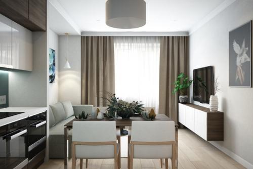 Дизайн - проект однокомнатной квартиры площадью 49 кв. 02