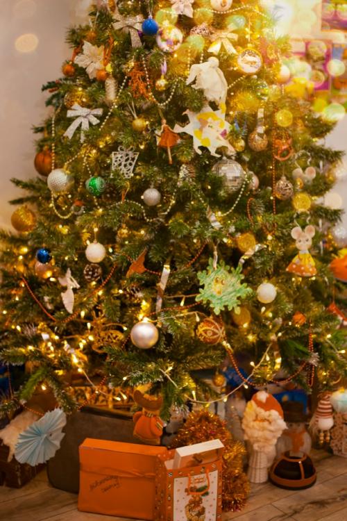 Почему я передумала покупать новую елку? Почему я передумала покупать новую елку?