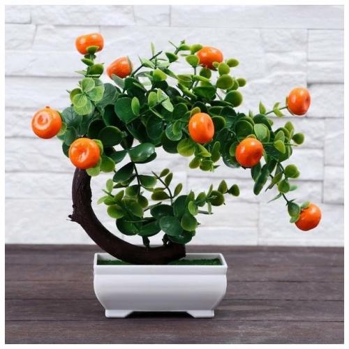 Мандариновое карликовое дерево: изысканное украшение вашего дома. 02