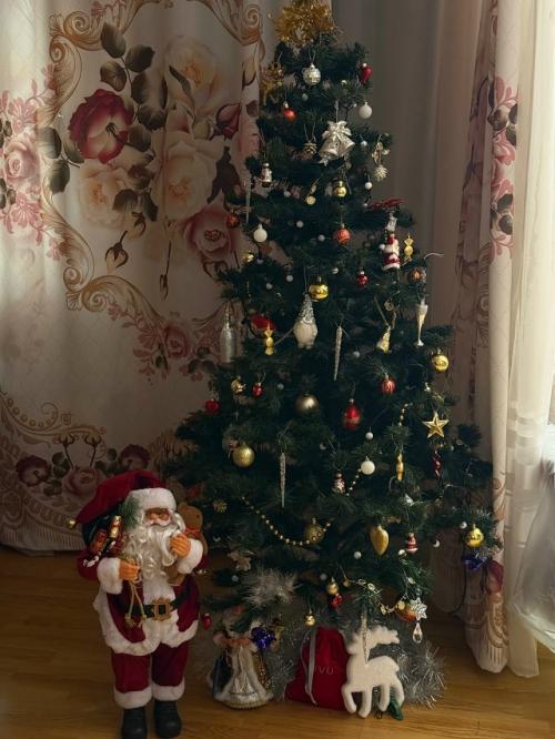 За две недели до нового года привычный ритм жизни постепенно наполняется праздничными деталями.