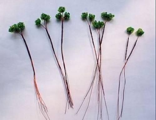 Бонсай из бисера? 02