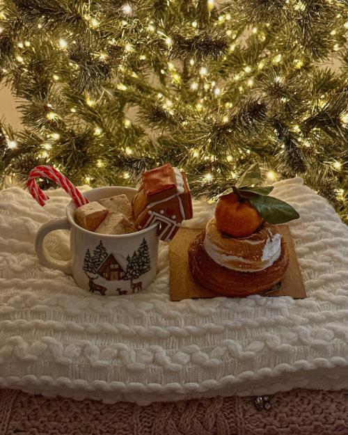 Предновогодние дни всегда отличаются особым настроением, когда обычные дела переплетаются с ожиданием праздника.  