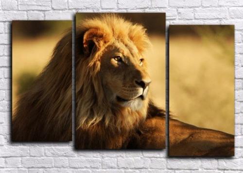 Горящая предновогодняя распродажа модульных картин? 04