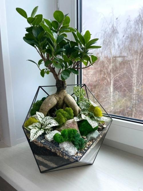 Флорариумы по заказу соберем. 02