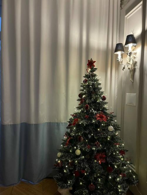 До нового года остаётся совсем немного времени, и это чувствуется буквально во всём.