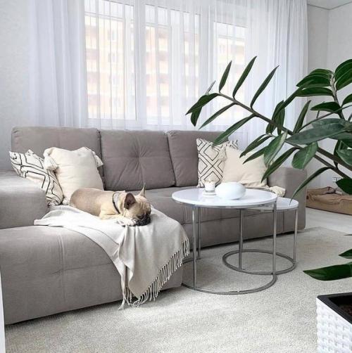 Интерьер в светлых оттенках. 01