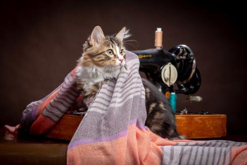 Швейную машину продам! 07