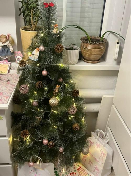 Когда до нового года остается всего две недели, повседневная жизнь наполняется ожиданием и легкой праздничной суетой.  